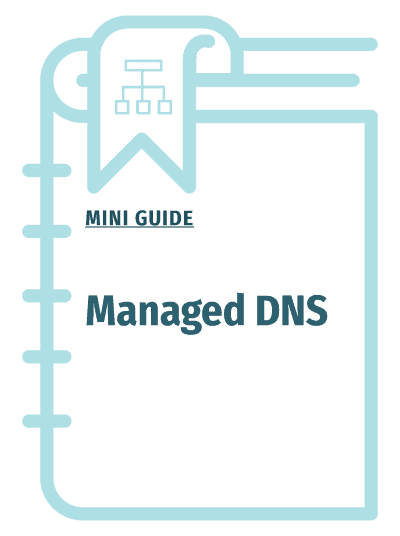 Managed DNS Mini Guide